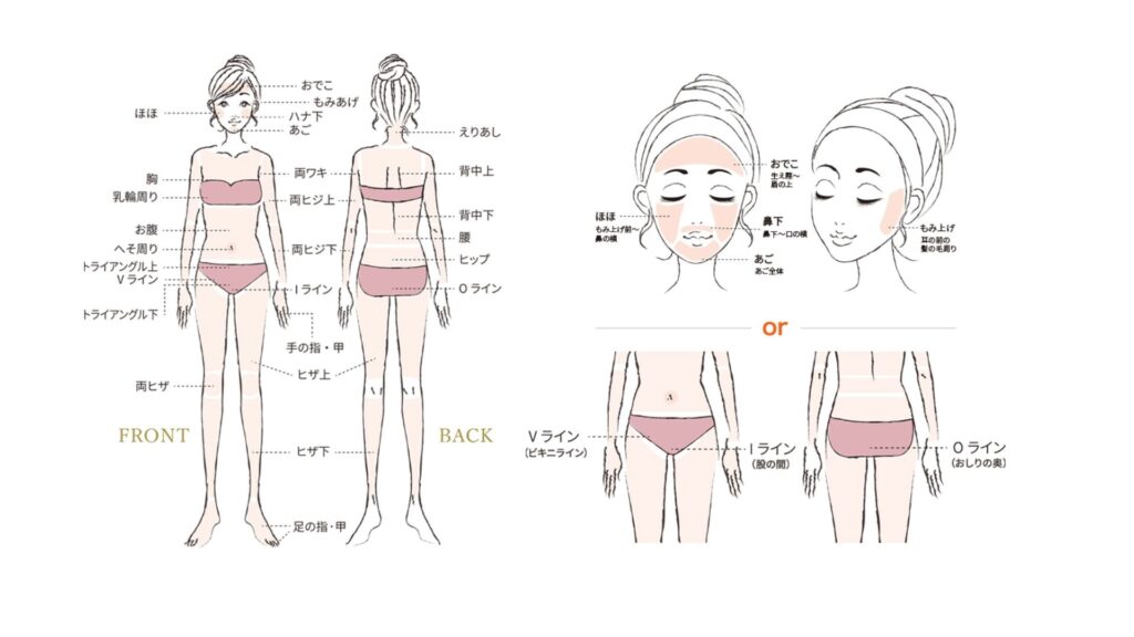 アドラーブルの施術範囲